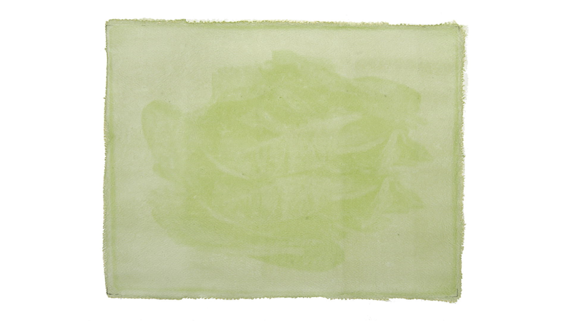 Espinaca